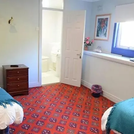 Gasthuis The Wexford Arms *