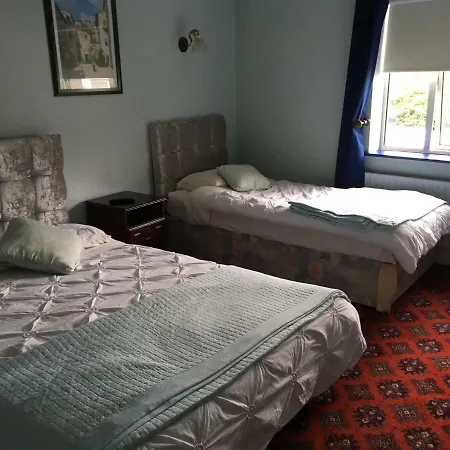 The Wexford Arms Konukevi *