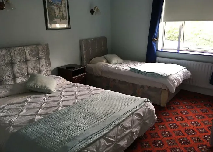 The Wexford Arms 게스트하우스 *