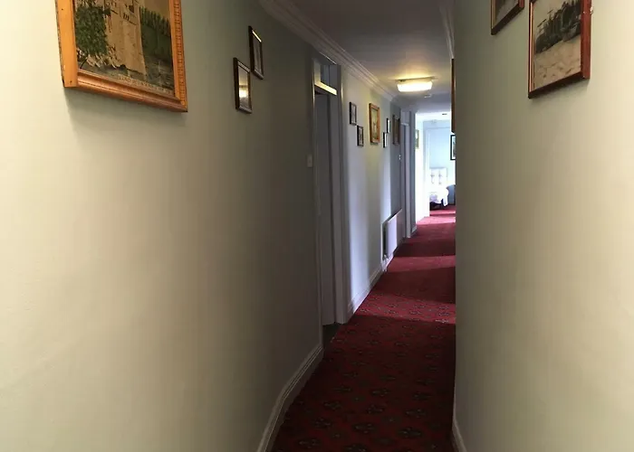 The Wexford Arms 게스트하우스 *