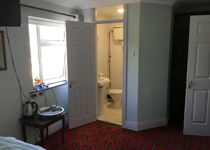 게스트하우스 The Wexford Arms *